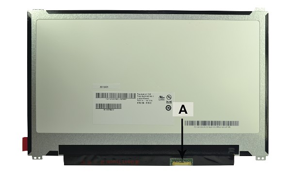 Chromebook C204EE-GJ0055 11.6" 1366x768 HD LED Matte